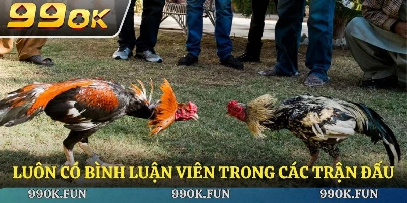 Luôn có bình luận viên trong các trận đấu